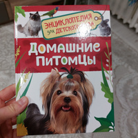 Домашние питомцы. Энциклопедия для детского сада. Познавательные факты для детей от 4-5 лет. Кошки, собаки, рыбки, кролики, попугаи и другие животные #2, Светлана