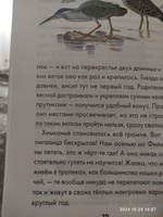 Сборник рассказов для детей иллюстрированный " Птичьи дети. Детская проза ." Со ссылками на записи голосов птиц | Белый Игорь #7, Юлия Л.