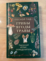 Лесной гид: грибы, ягоды, травы. Карманный атлас-определитель | Семенова Людмила Семеновна #3, Наталья К.