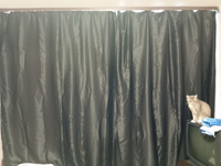 LUX CURTAIN Комплект штор декор 250х300см, черный #28, Кристина П.