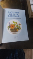 РАСТЕНИЯ ОТ ВСЕХ БОЛЕЗНЕЙ. Иллюстрированный атлас #7, Надежда Б.