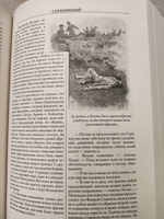 Приключения Шерлока Холмса. Иллюстрированное издание с закладкой-ляссе | Дойл Артур Конан #8, Анатолий С.