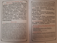 Всенощное бдение. Чинопоследование с пояснениями. Богородичны. Евангельские стихиры. Уставная таблица. Издание для клироса. Большой формат | Соколова Ольга #6, Л