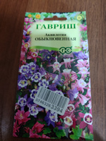 Семена АКВИЛЕГИЯ ОБЫКНОВЕННАЯ Смесь (0,05 грамм) Гавриш #17, Неля У.