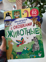 Большая книга с окошками. Животные #8, Розалия Г.