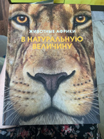 Животные Африки в натуральную величину | Хааг Хольгер #3, Анастасия А.