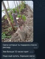 Свеча Набор свечей "Без отдушки", 14.5 см х 4 см, 6 шт #7, Elizaveta M.