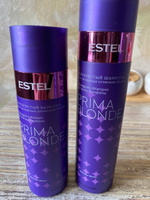 ESTEL PROFESSIONAL Набор PRIMA BLONDE для холодных оттенков блонд "Мне фиолетово" 250+200 мл #25, Щербакова Ирина Викторовна