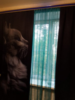 Фотошторы Блэкаут "Кот" 1,45х2,6м, комплект 2шт, шторы для спальни, гостиной, кухни, в подарок #13, Яна Н.