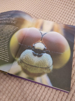 Большая книга о насекомых. 1001 фотография | Спектор Анна Артуровна #8, Анастасия Б.