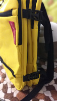 Рюкзак сумка чемодан для Визз Эйр ручная кладь 40 30 20 24 литра Optimum Wizz Air RL, желтый #38, Юлия П.