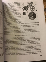 Львова С.И.  Этимологический анализ на уроках русского языка. Пособие для учителя | Львова Светлана Ивановна #2, Ксения К.