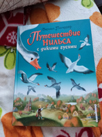 Путешествие Нильса с дикими гусями (ил. И. Панкова) | Лагерлеф Сельма #3, Елена Е.