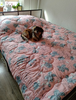 Одеяло 2 спальное зимнее толстое, 172х205 см, ватное утяжеленное, стеганое взрослое, двуспальное, двушка, хлопок 100% #121, Юлия С.