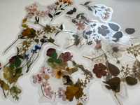Эстетичные наклейки Засушенные цветы 40 шт. для ежедневника скрапбукинга, на телефон, ноутбук, для заметок. Подарочный набор для творчества #4, Алина М.