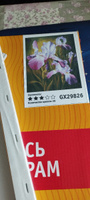 Картина по номерам на холсте 40х50 40 x 50 на подрамнике "Сиреневые ирисы" DVEKARTINKI #4, Виктория