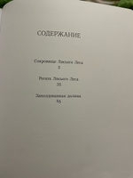 Большое летнее приключение | Патерсон Синтия, Патерсон Брайан #8, Генералов Сергей