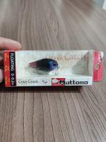 Воблер Mottomo Crazy Crank 40F 4,2g Clear Bug, крэнк плавающий для спиннинга. Приманка на голавля, форель, окуня, жереха #20, Марсель Ш.