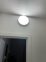 Светильник потолочный светодиодный влагозащищенный IP65, 24 Вт, уличный, люстра светодиодная потолочная для ванной, душа, кухни, веранды, гаража, LEEK #86, Олег Ш.