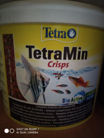 Корм для рыб TetraMin Crisps 10 л, чипсы #35, Хуснуллин Р.