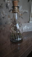Ваза, декоративная бутылочка с сухоцветами лаванды, высота 16,5 см #22, Дмитрий О.