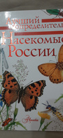 Насекомые России | Гомыранов Илья Алексеевич #5, Вершинина Жанна