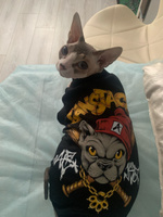 Одежда для кошек сфинкс с принтом "Gansta Cat" размер L для котов и собак мелких пород, ALFAKOT (Альфакот) #3, Ольга У.