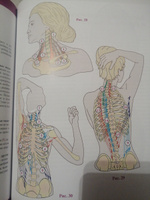 Позвоночник: Физиология суставов (обновленное издание) | Капанджи А. И. #4, Юлия Б.