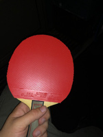 Накладка для ракетки настольного тенниса DHS 652, Красный , размер max #3, Максим Е.
