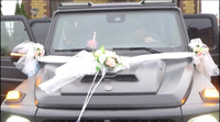 Комплект свадебных украшений на авто #8, Ариана Б.