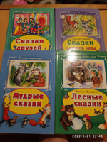 Комплект из 4 сборников сказок для детей от 3 лет. Сказки про зверят. | Русские народные сказки, Грибачев Н. #7, Анна