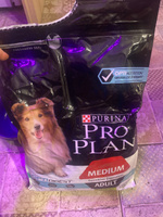 Pro Plan Adult Medium OptiDigest сухой корм для взрослых собак средних пород с чувствительным пищеварением, с ягненком - 3 кг #2, Светлана М.