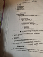 Радиэстезическое познание человека. Система самодиагностики, самоисцеления и самопознания человека | Пучко Людмила Григорьевна #2, Анна И.