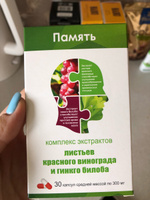 Комплекс экстрактов листьев красного винограда и гинкго билоба капс. n30 #8, Екатерина Мороз