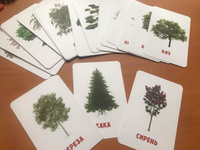 Карточки Домана для малышей "Деревья и растения" (развивающие запуск речи для малышей ) 30 шт. #117, Аниса Ш.