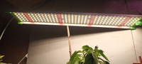Фитолампа для выращивания растений рассады полный спектр, Профессиональный фитосветильник светодиодный, Линейная лампа для цветов, 85 Ватт 226 LED #7, Анастасия