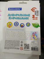 Карандаши цветные акварельные Brauberg Premium Aquarelle, 36 цветов, грифель 4 мм #75, Наталия Ф.