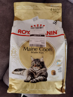 Royal Canin Maine Coon Adult (Роял Канин Эдалт со вкусом птицы) корм для взрослой кошки породы Мэйн Кун 4 кг #23, Дядюшка Скрудж