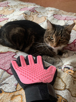 Перчатка для вычесывания шерсти кошек STEFAN, розовый, PMG-1201PNK #64, Мария Б.
