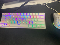 Механическая игровая клавиатура PANTEON T2 PRO BS(RGB LED,OUTEMU Black, TKL60%,61кл,USB) белая #79, Егор К.