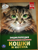 Энциклопедия для детей Кошки и котята Умка | Хомякова К. #11, Алена Б.