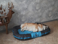 Лежанка для кошек, собак и животных Nobby Reno, серый, голубой, 103 х 76 х 11 см #3, Евгения