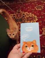 Ветеринарный паспорт для кошек "Рыжий кот", международный #38, Наталия А.