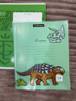 Набор пластиковых обложек ErichKrause Dino Planet для тетрадей и дневников, 212х347мм, 80 мкм, ассорти (пакет 12 шт.) #46, Вера Т.