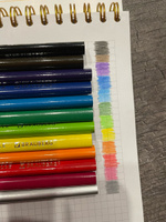 Карандаши цветные акварельные для рисования художественные Brauberg PREMIUM AQUARELLE, 12 цветов, грифель 4 мм #89, Диана В.