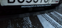 Рамка для номера автомобиля, госномера, универсальная с надписью "Молодой и перспективный", 1 шт #55, Дмитрий А.