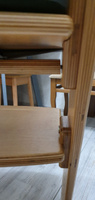 Стульчик для кормления Конек Горбунек Комфорт, растущий стул для детей со столиком и ограничителем от 6 месяцев, сандал #12, Мария П.