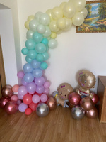 Шарики воздушные шары "Макарун" , 25 см, 100 штук #162, ОЛЬГА С.