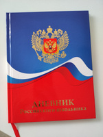 Дневник школьный, Prof-Press, Герб и цвета флага, 48 листов, твердая обложка, глянцевая ламинация, декорированная золотым тиснением #20, Елена О.