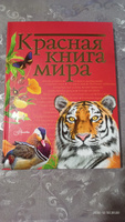 Красная книга мира | Молюков Михаил Игоревич, Пескова Ирина Михайловна #8, Кашникова Елена